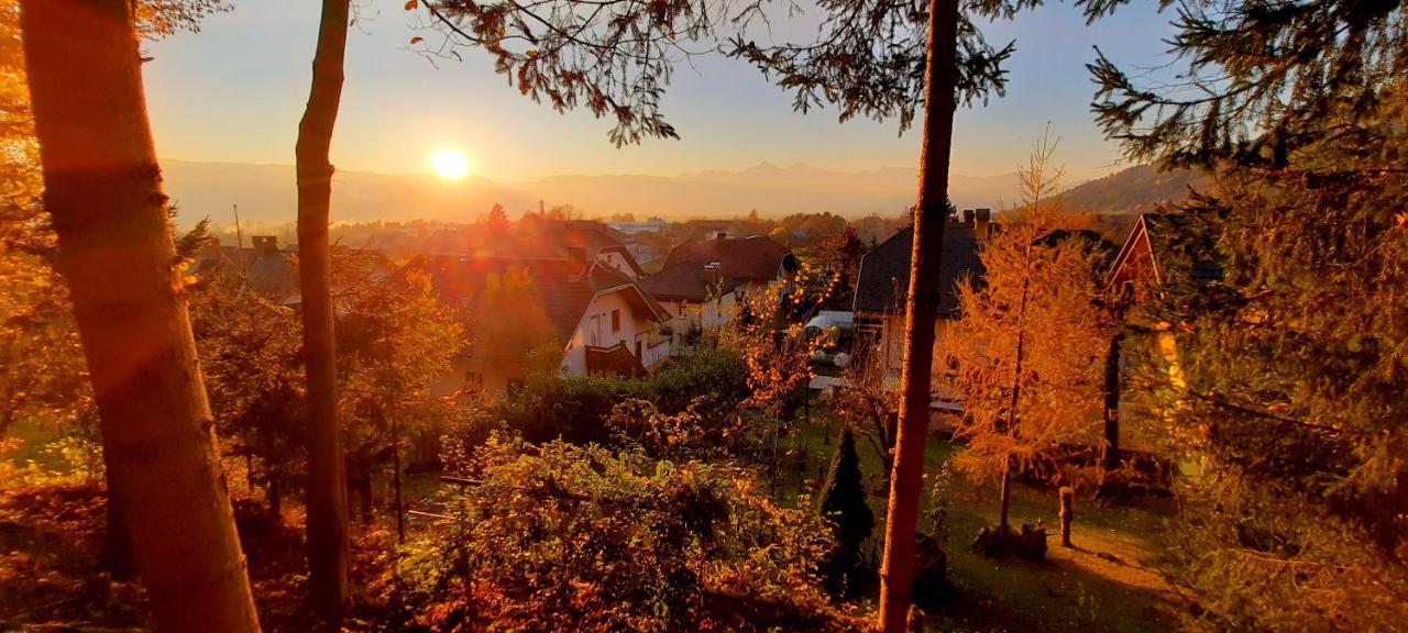 Apartment Murka Begunje na Gorenjskem Esterno foto