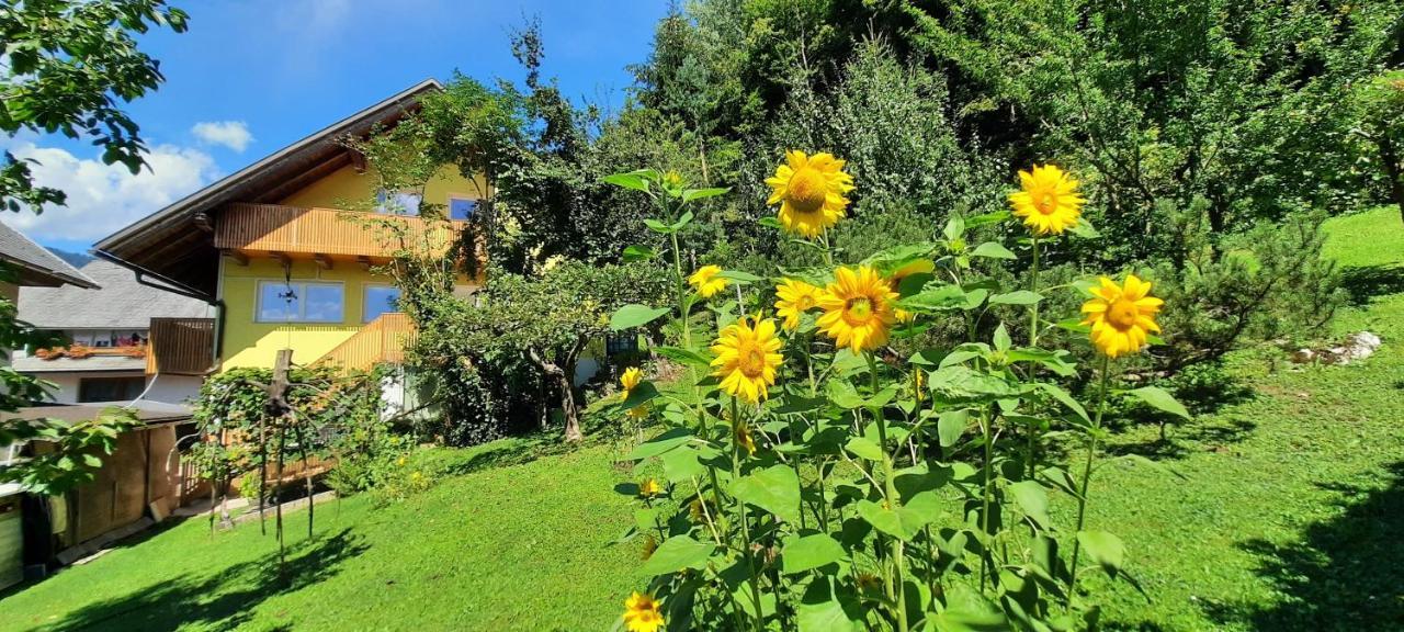 Apartment Murka Begunje na Gorenjskem Esterno foto